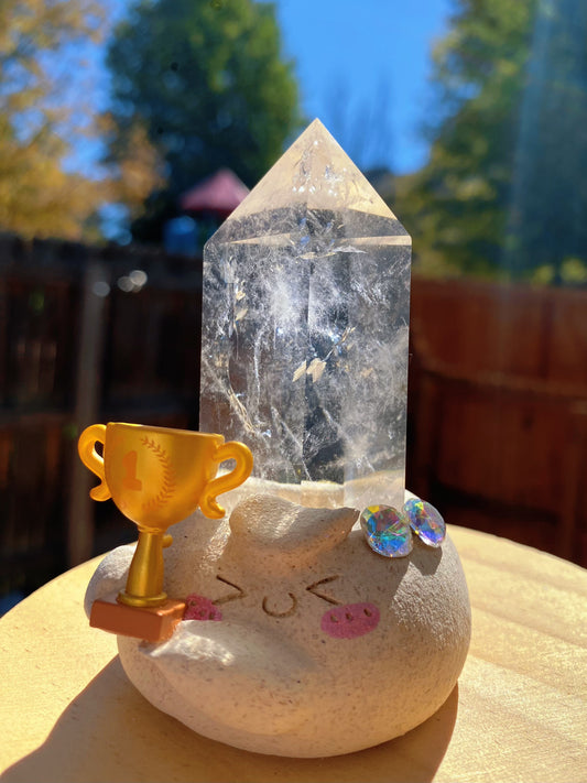 Gemomo- Champion Bean🏆✨