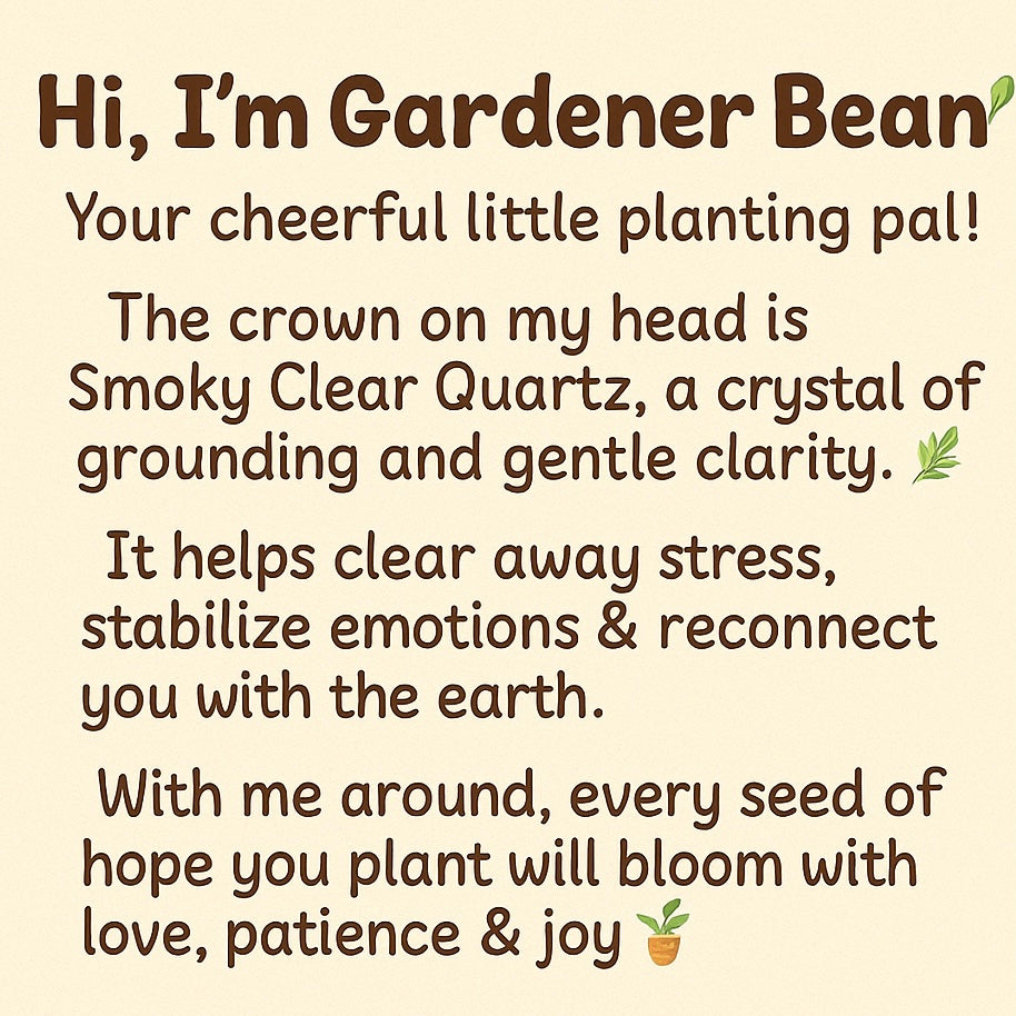 Gemomo- Gardener Bean🪴