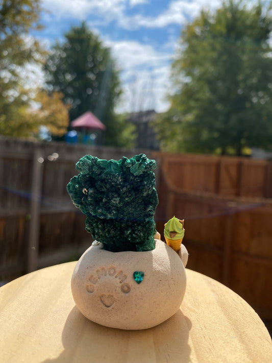 Gemomo-Matcha Bean🍦💚