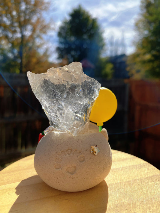 Gemomo- Birthday Bean🎈🎁