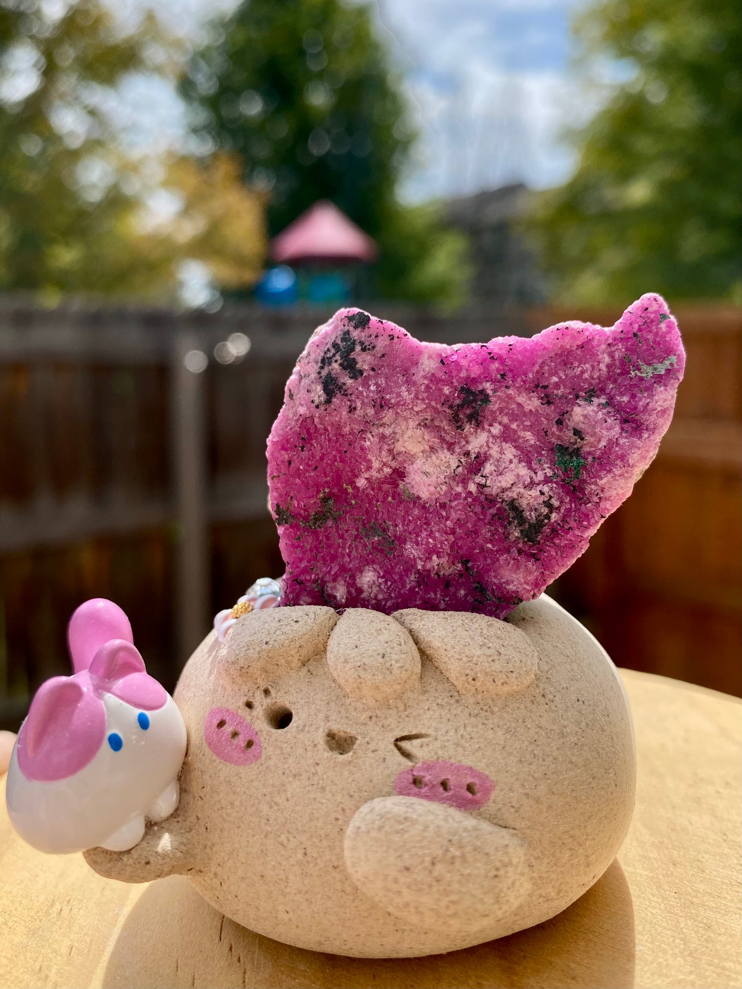 Gemomo-Meowgic Bean🐱🩷