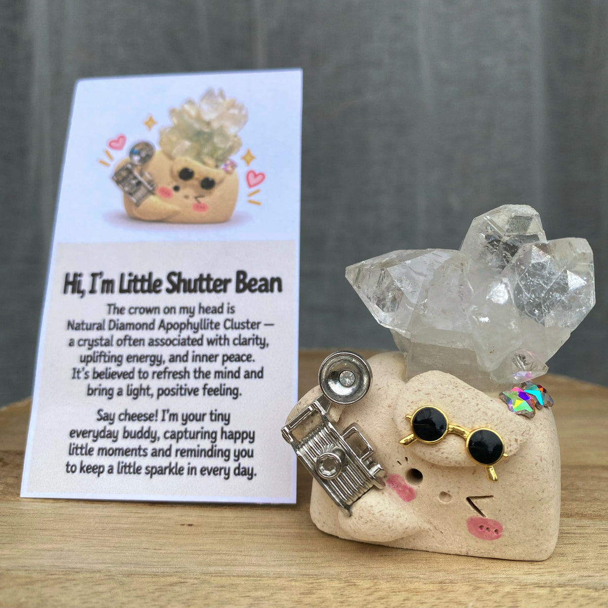 Little Shutter Bean