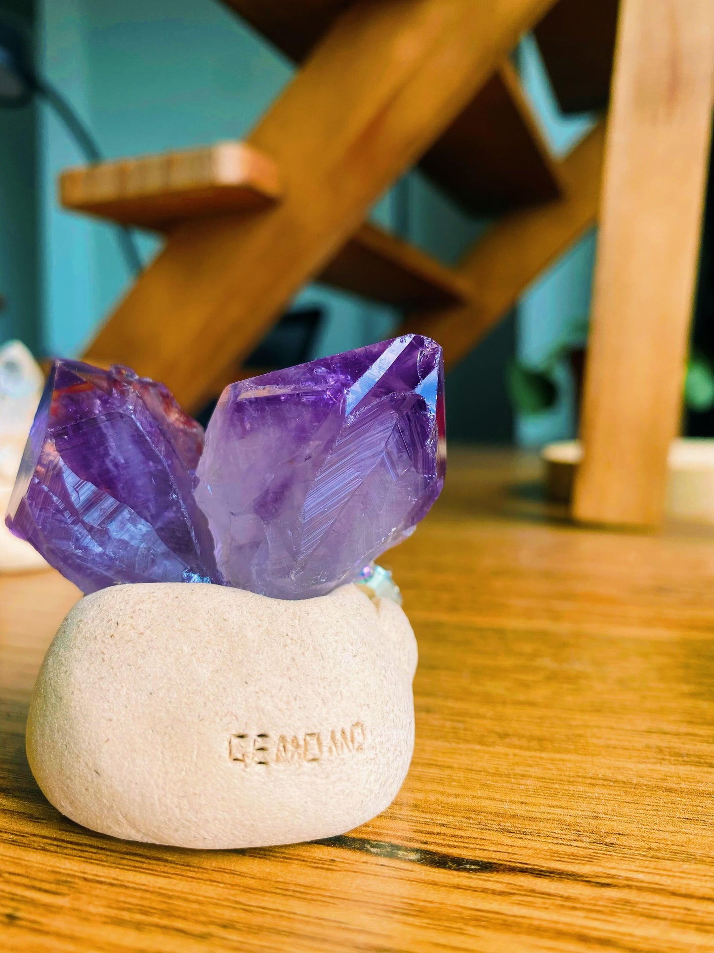 Gemomo - Wisdom Bean🔮✨