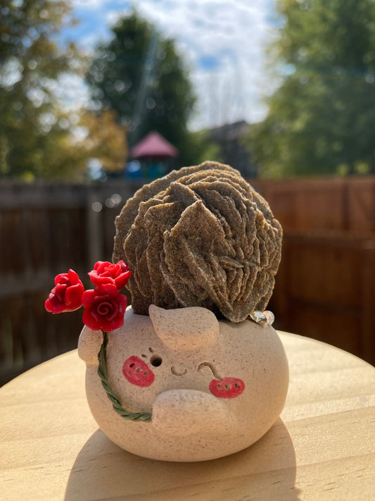 Gemomo- Rose Bean🌹🌟