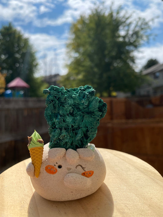 Gemomo-Matcha Bean🍦💚