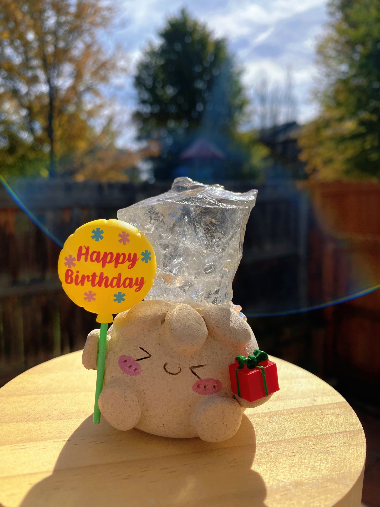 Gemomo- Birthday Bean🎈🎁