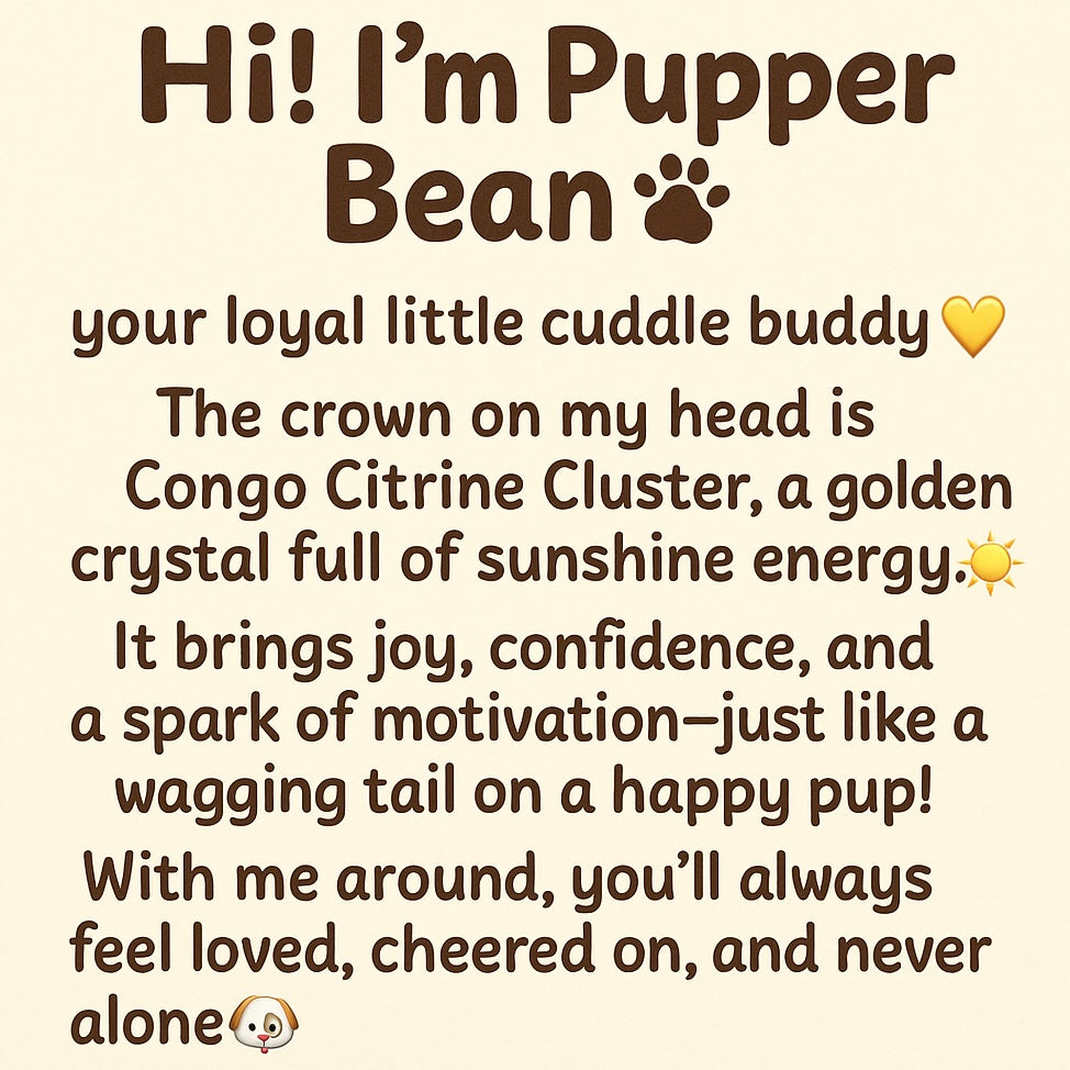 Gemomo-Pupper Bean🐶💛✨